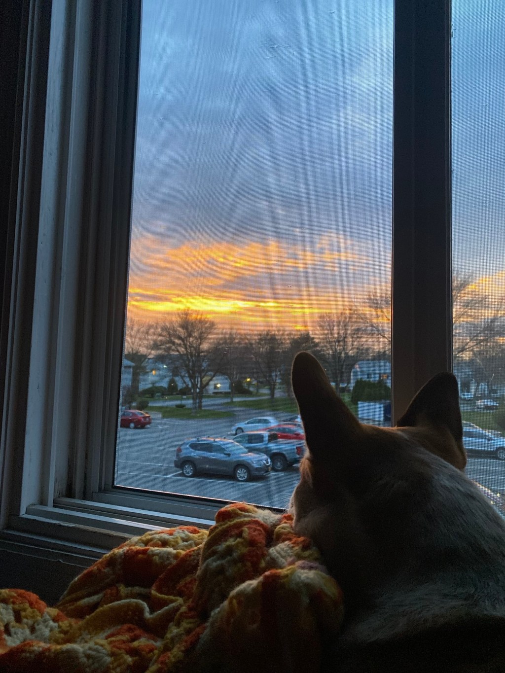 The World Out&nbsp;There