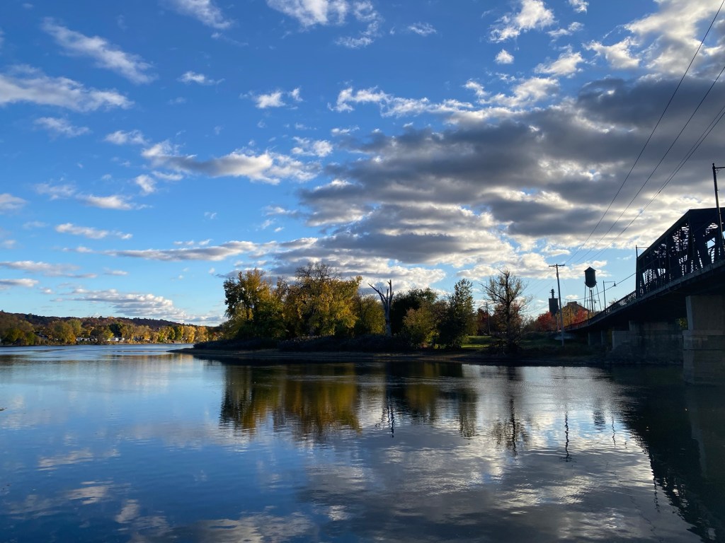 The thing with&nbsp;feathers